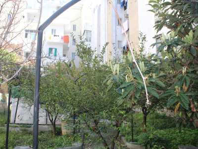 Ci ritroviamo cos� in un sorprendente giardino ampio circa 450 metri quadri dove trovano posto alberi di nespole, di limoni...